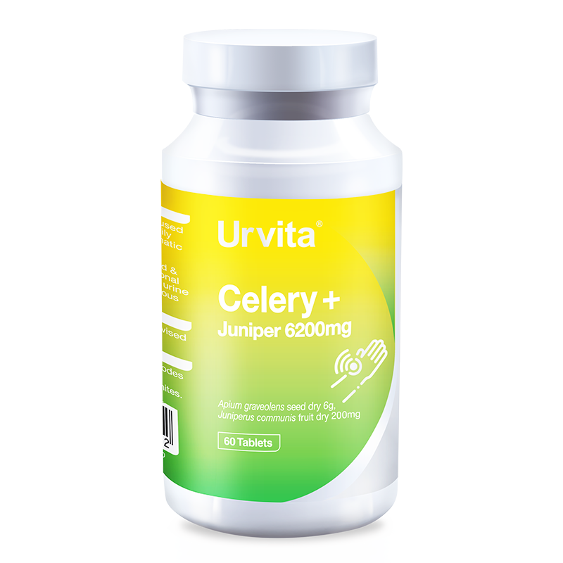 Urvita-Celery-800x800